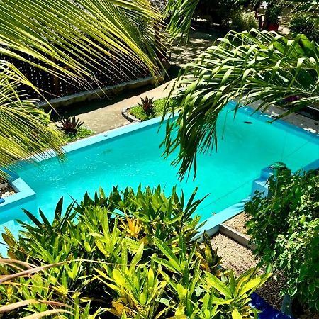 Bed and Breakfast Kilimanjaro Nungwi Zewnętrze zdjęcie