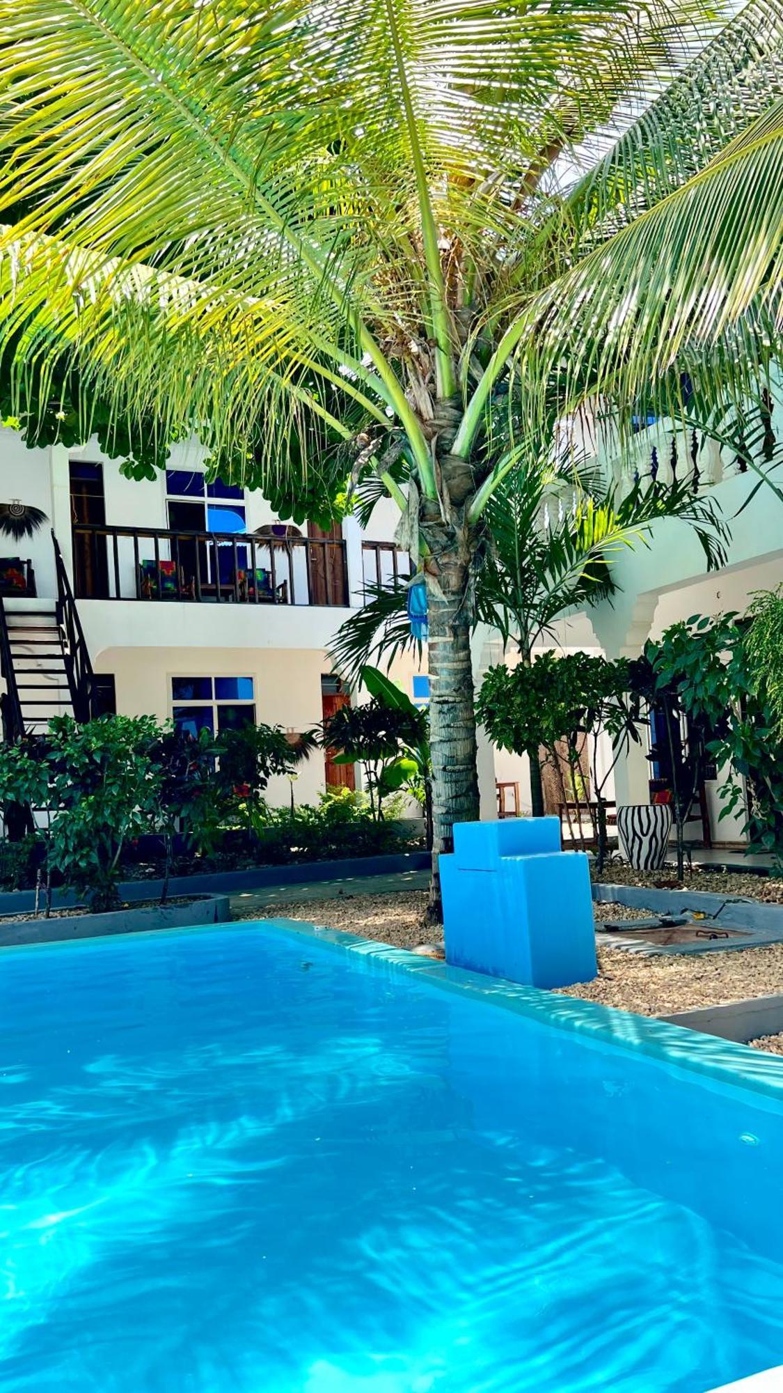 Bed and Breakfast Kilimanjaro Nungwi Zewnętrze zdjęcie