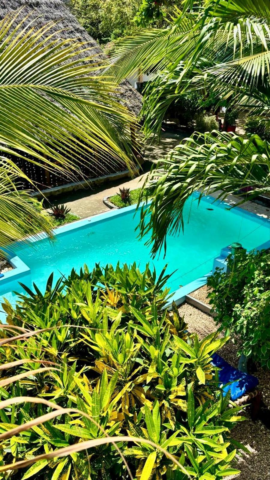Bed and Breakfast Kilimanjaro Nungwi Zewnętrze zdjęcie